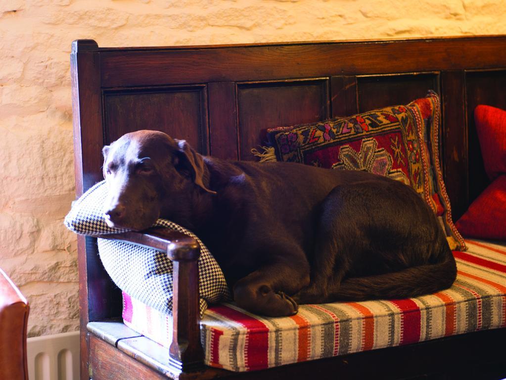 The Red Lion Inn Long Compton Zewnętrze zdjęcie